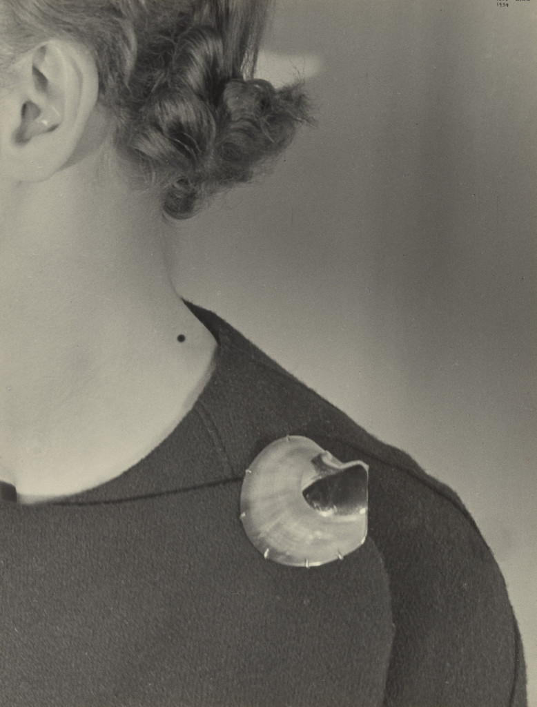 Shell Clip, Paris, for Harper's Bazaar