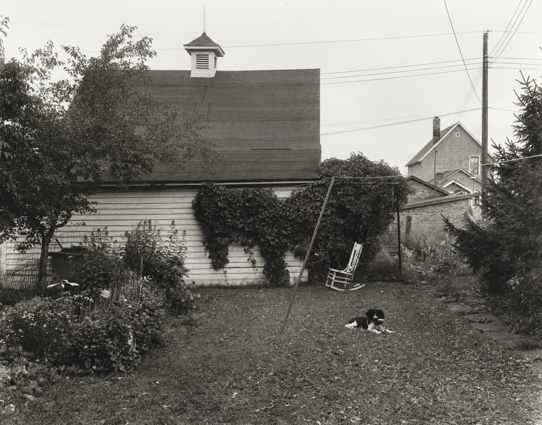 John Szarkowski. Mathew Brady in the Backyard I. 1952