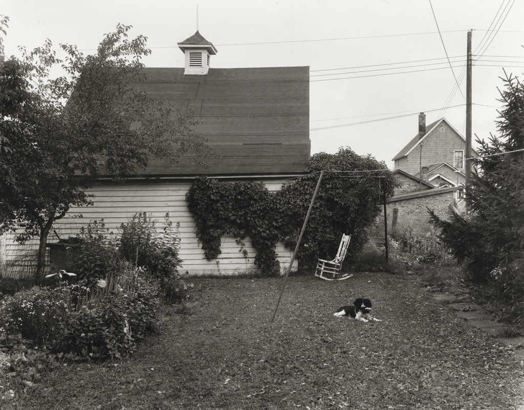 Mathew Brady in the Backyard I