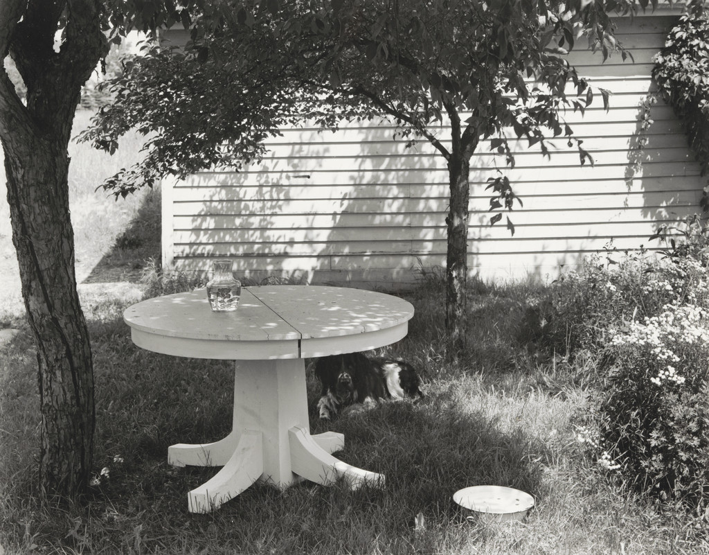 Mathew Brady in the Backyard II