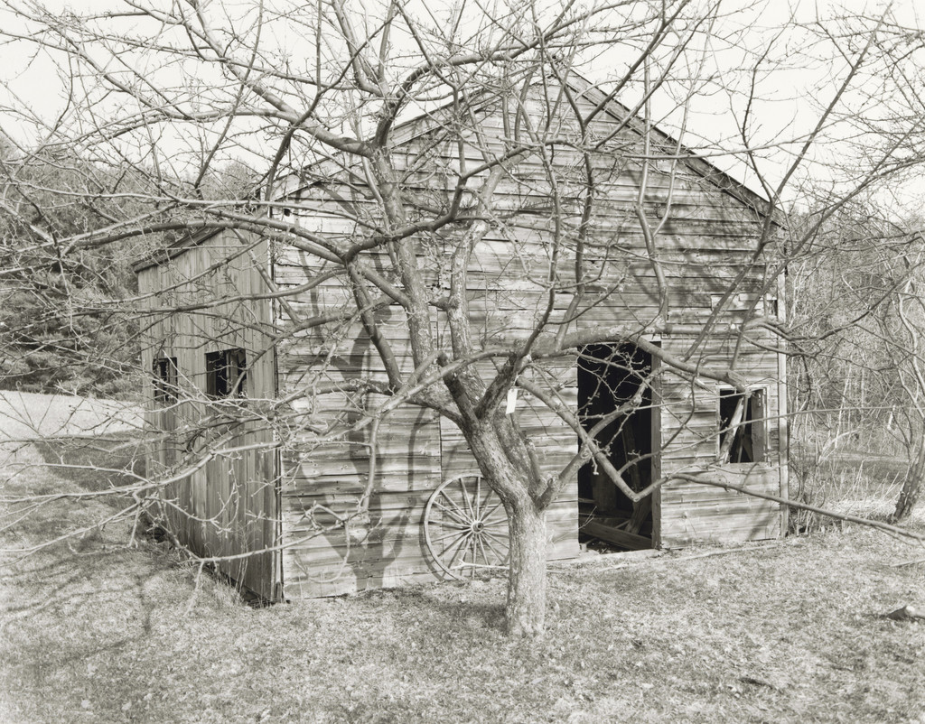 Triptych, Around the Meadow
