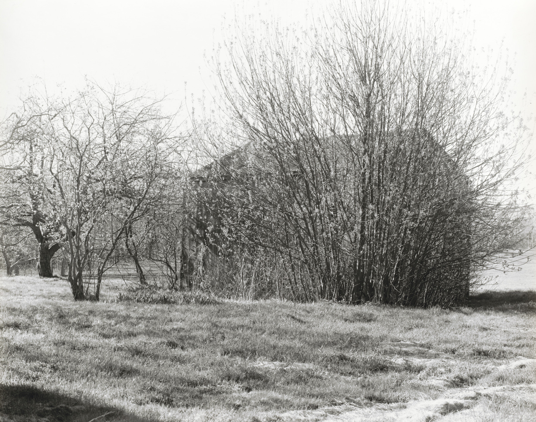 John Szarkowski. Folly, Easter Morning. 2001