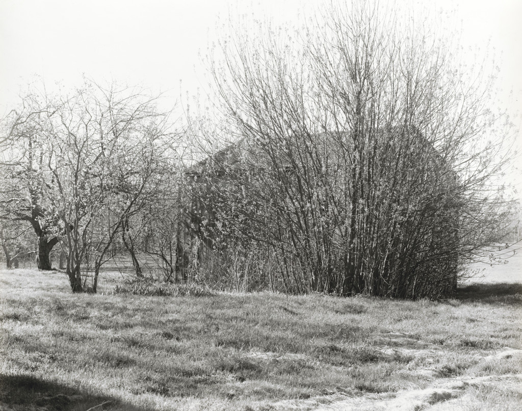 Folly, Easter Morning