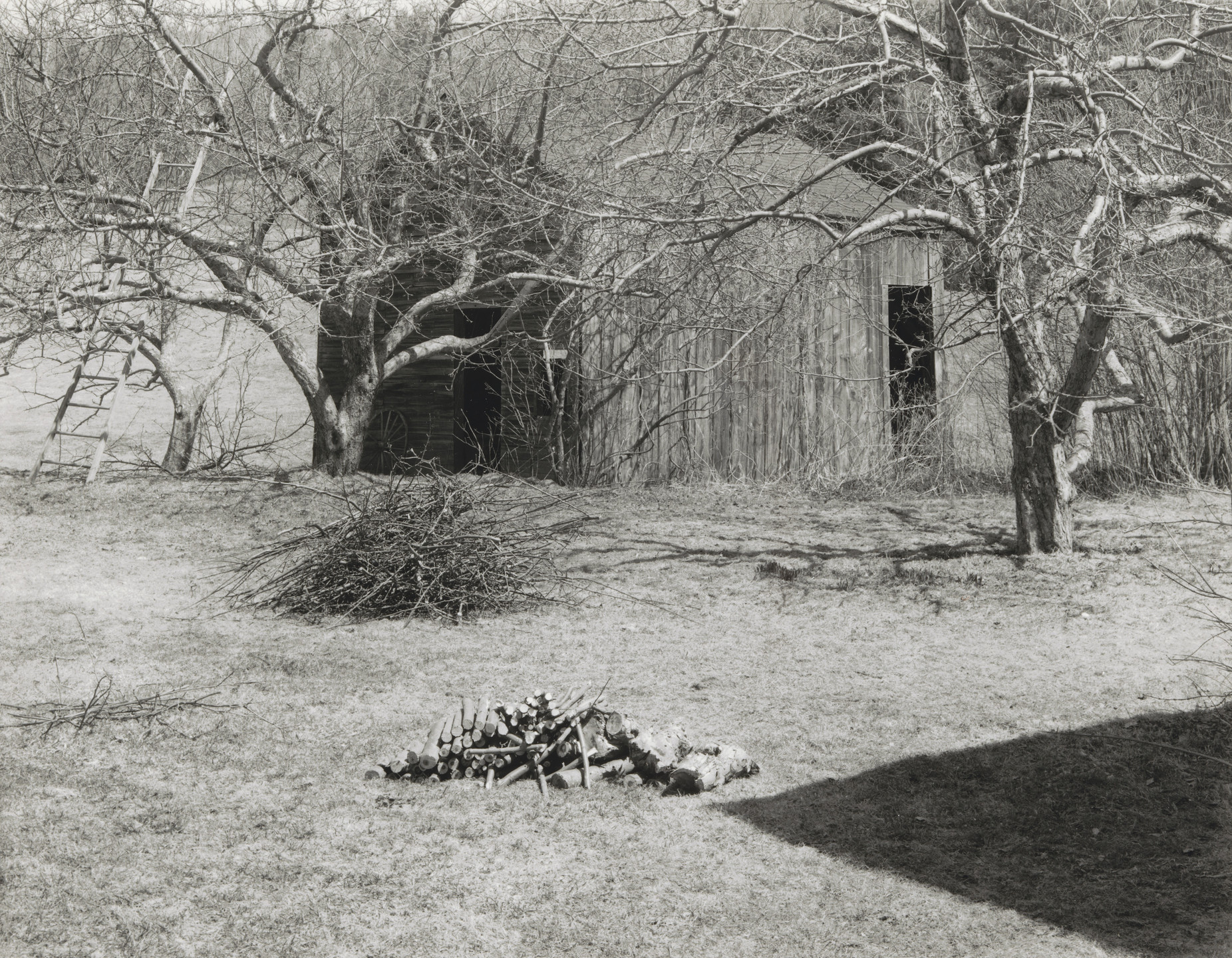 John Szarkowski. Folly with Trimmings. 2001