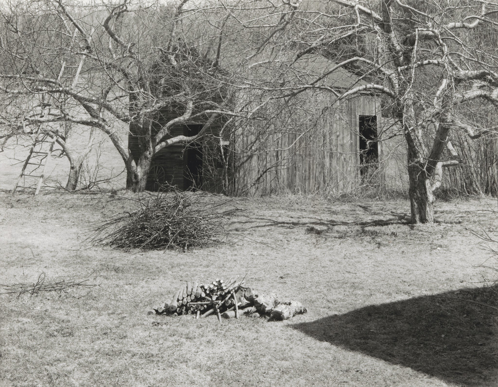 Folly with Trimmings