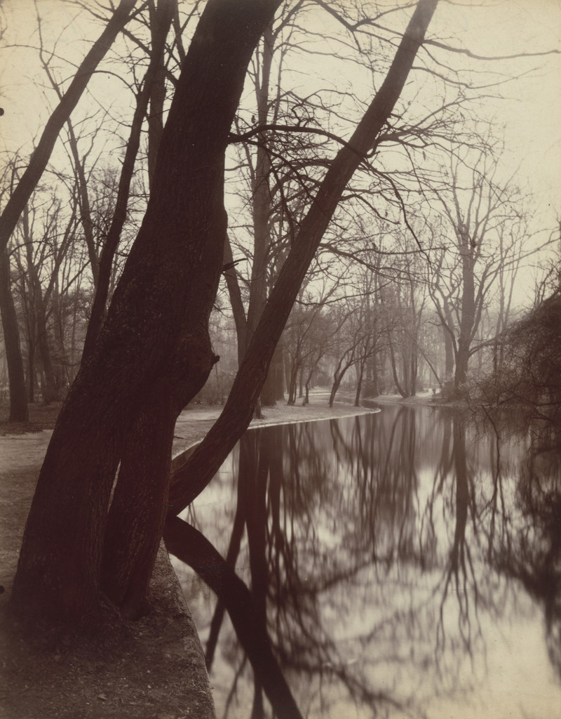 Bois de Boulogne