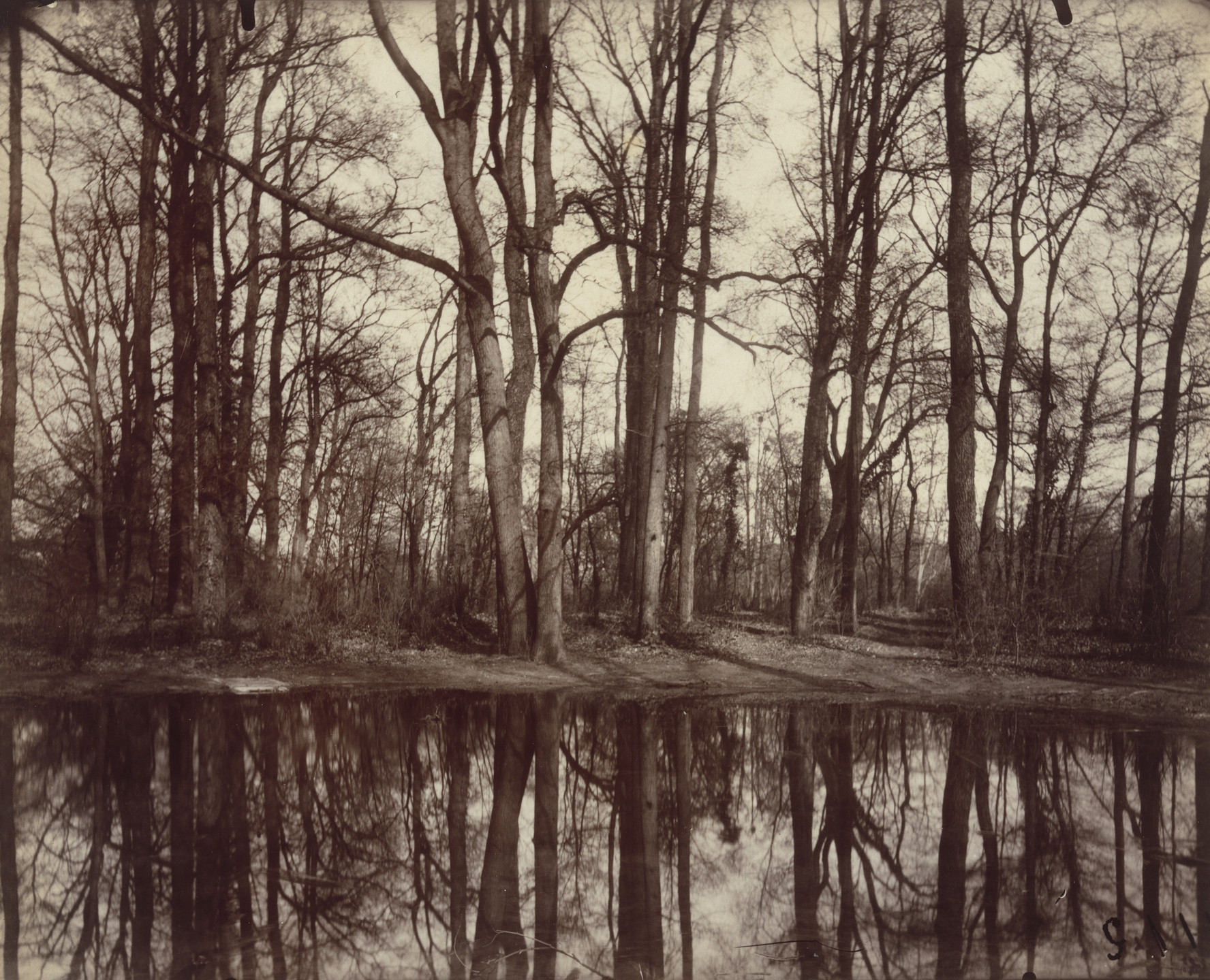 Eugène Atget. Saint-Cloud. 1922