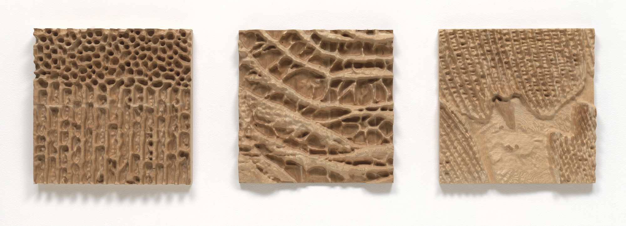 Neri Oxman, Massachusetts Institute of Technology, Cambridge, MA. Subterrain, from the Materialecology project. 2007