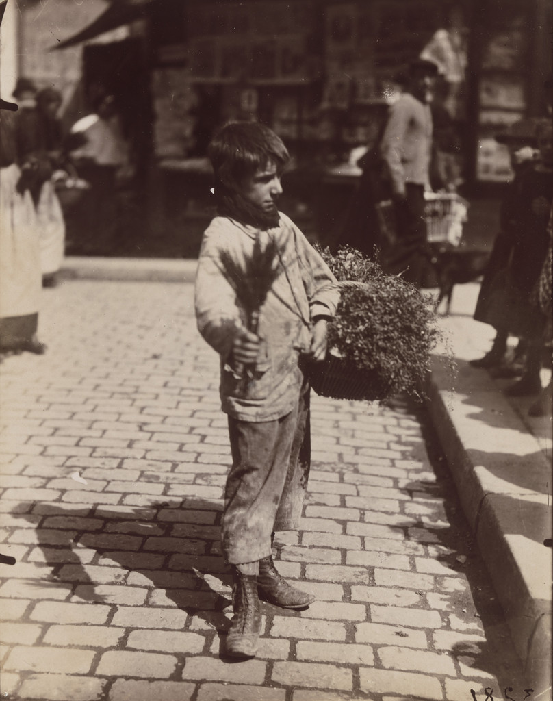 Jeune marchand (Young merchant)