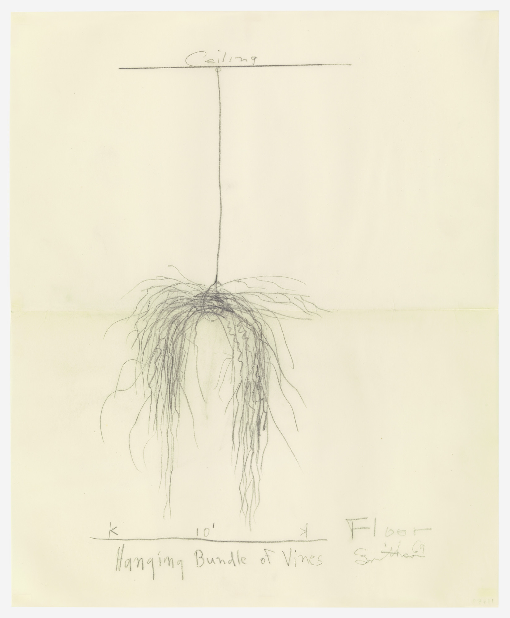 Robert Smithson. Hanging Bundle of Vines