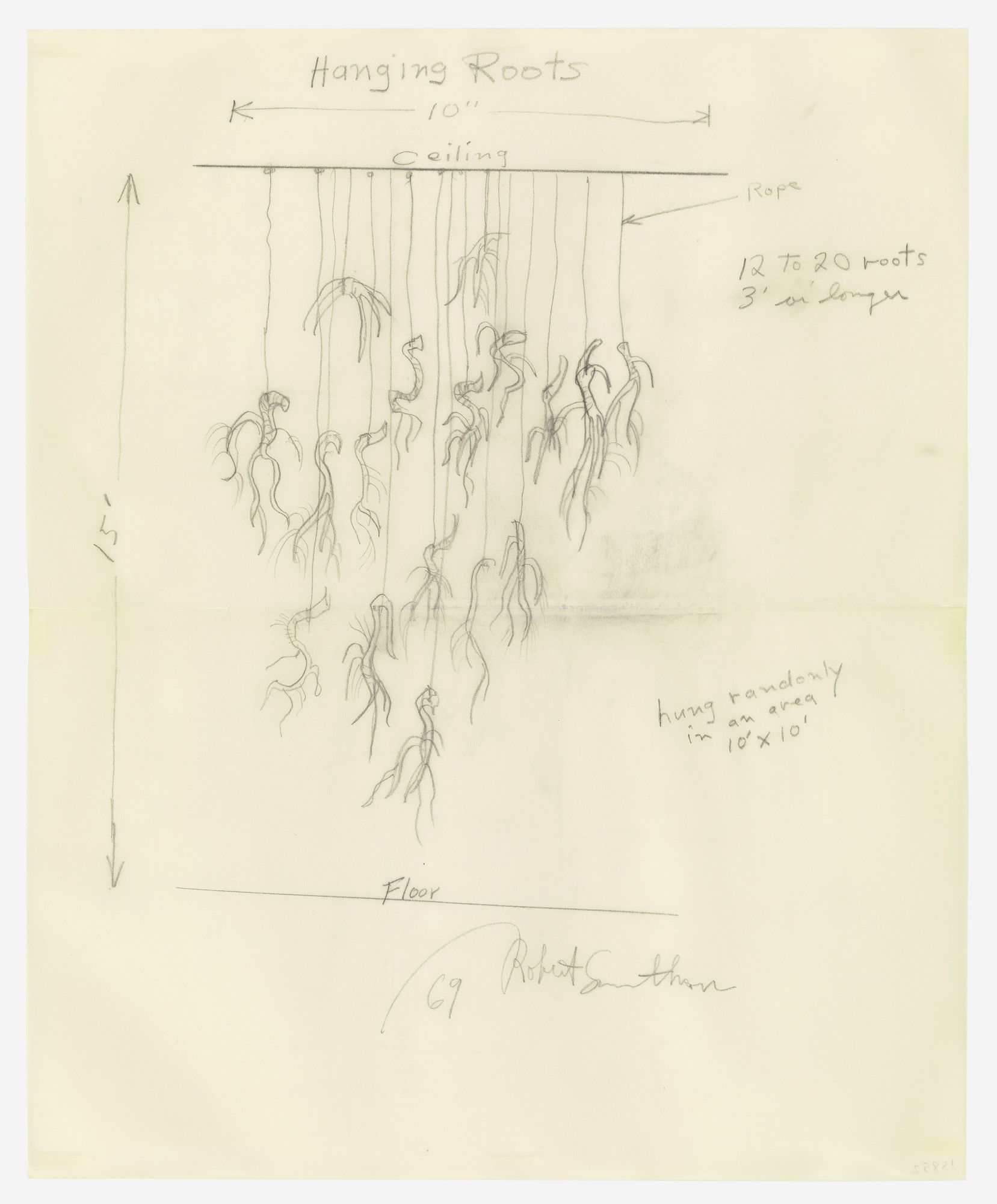 Robert Smithson. Hanging Roots (From Ceiling)