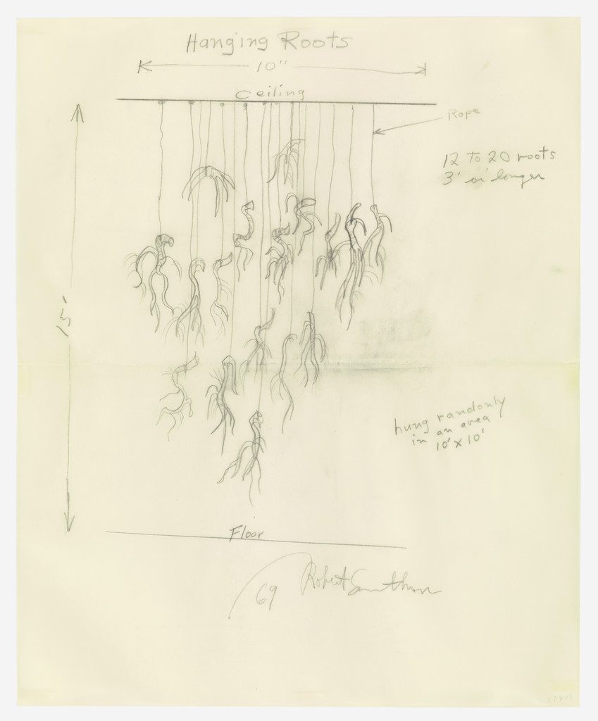 Hanging Roots (From Ceiling), Роберт Смитсон, 1969