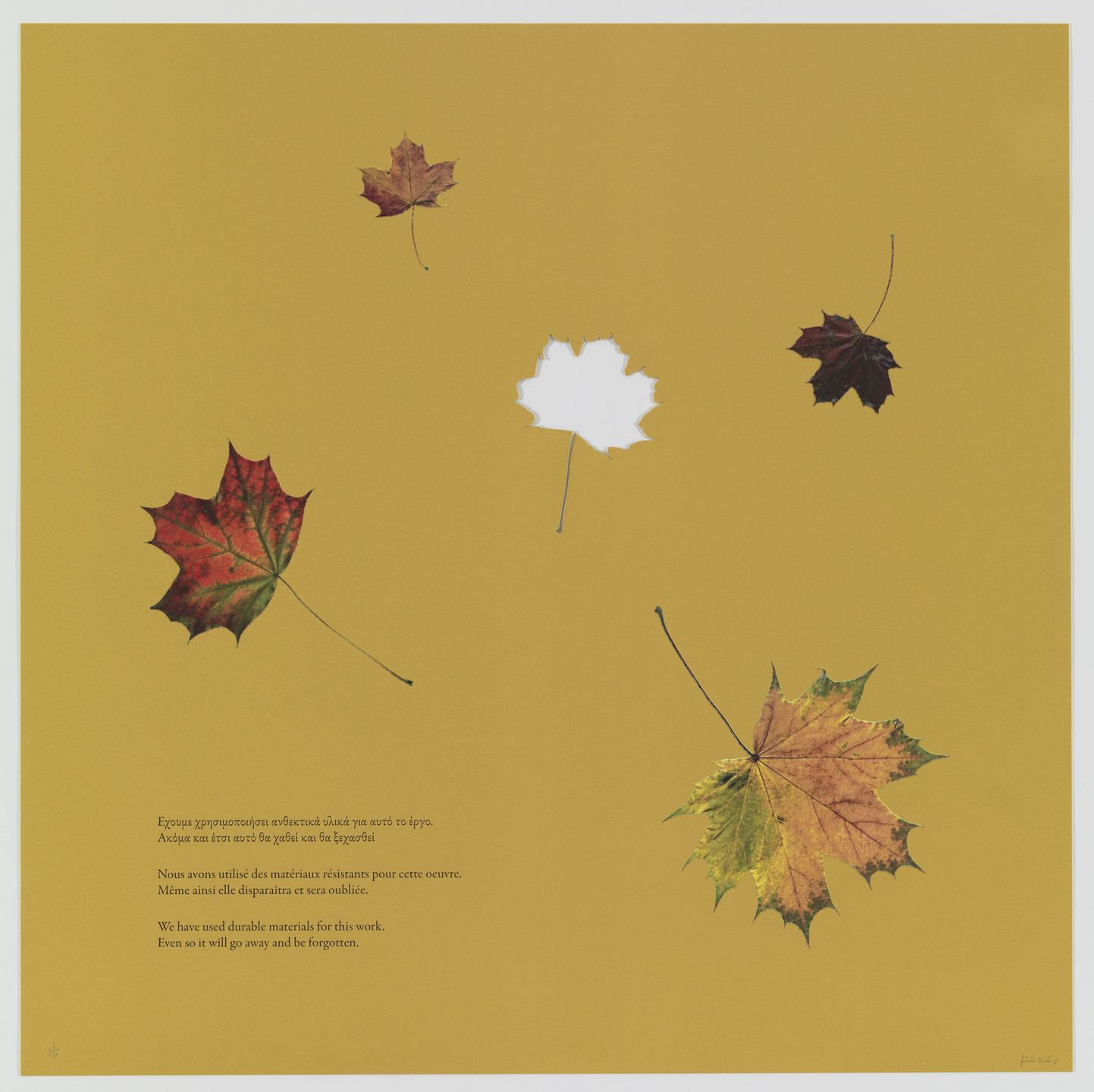 Jimmie Durham. Look Ahead (for Parkett no. 92). 2013