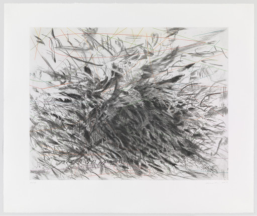 Julie Mehretu. Untitled from Algorithms, Apparitions and Translations. 2013