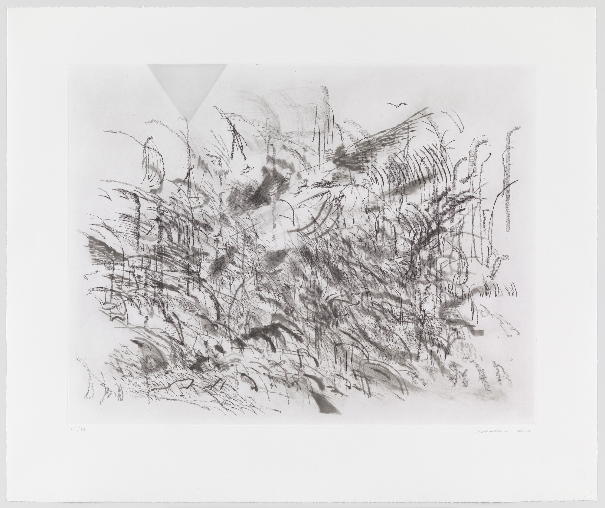 Julie Mehretu. Untitled from Algorithms, Apparitions and Translations