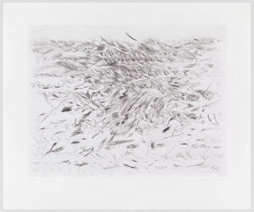 Julie Mehretu. Untitled from Algorithms, Apparitions and Translations. 2013