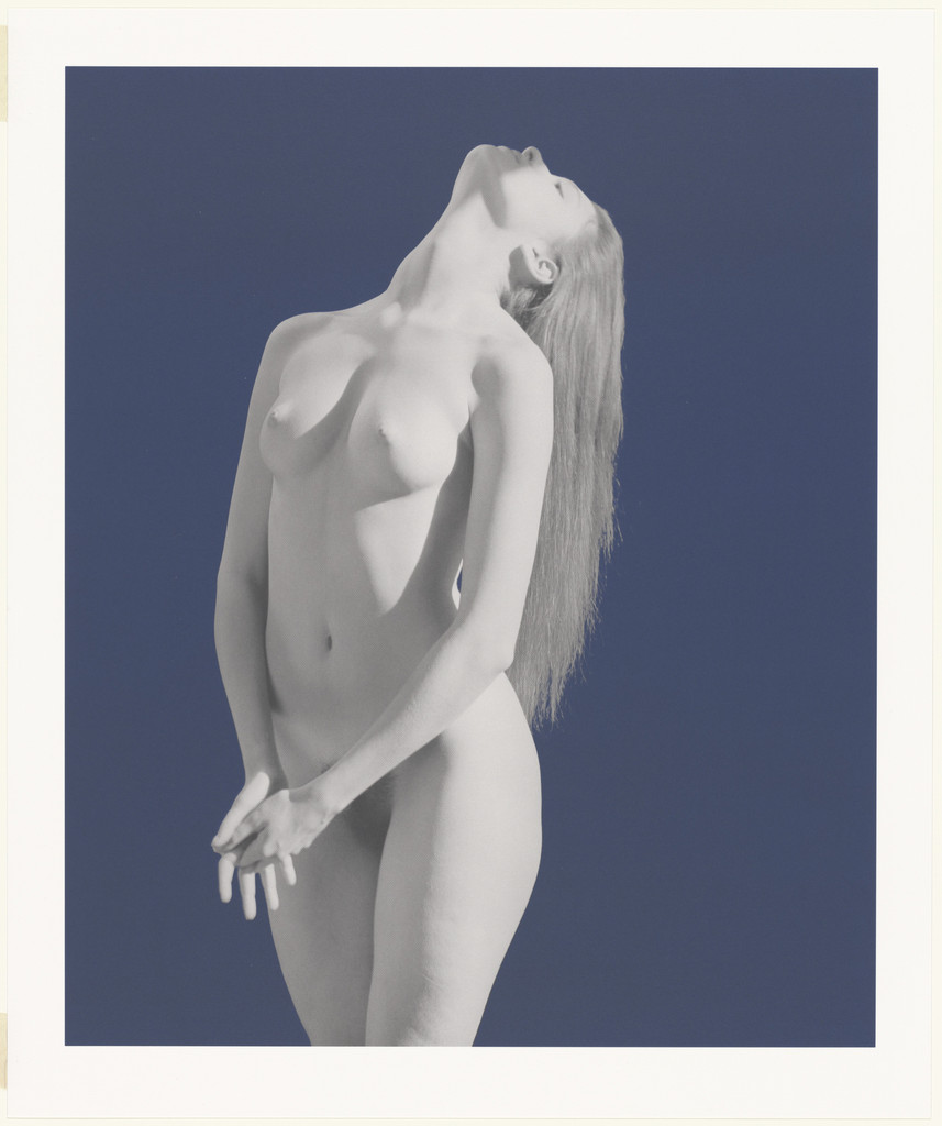 Untitled from America