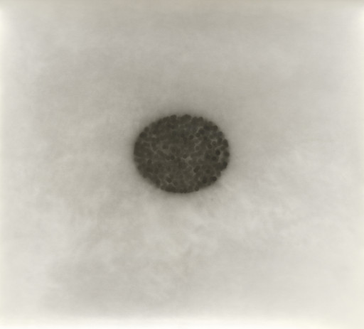 Untitled, 2:11 p.m., 27th July, 1991