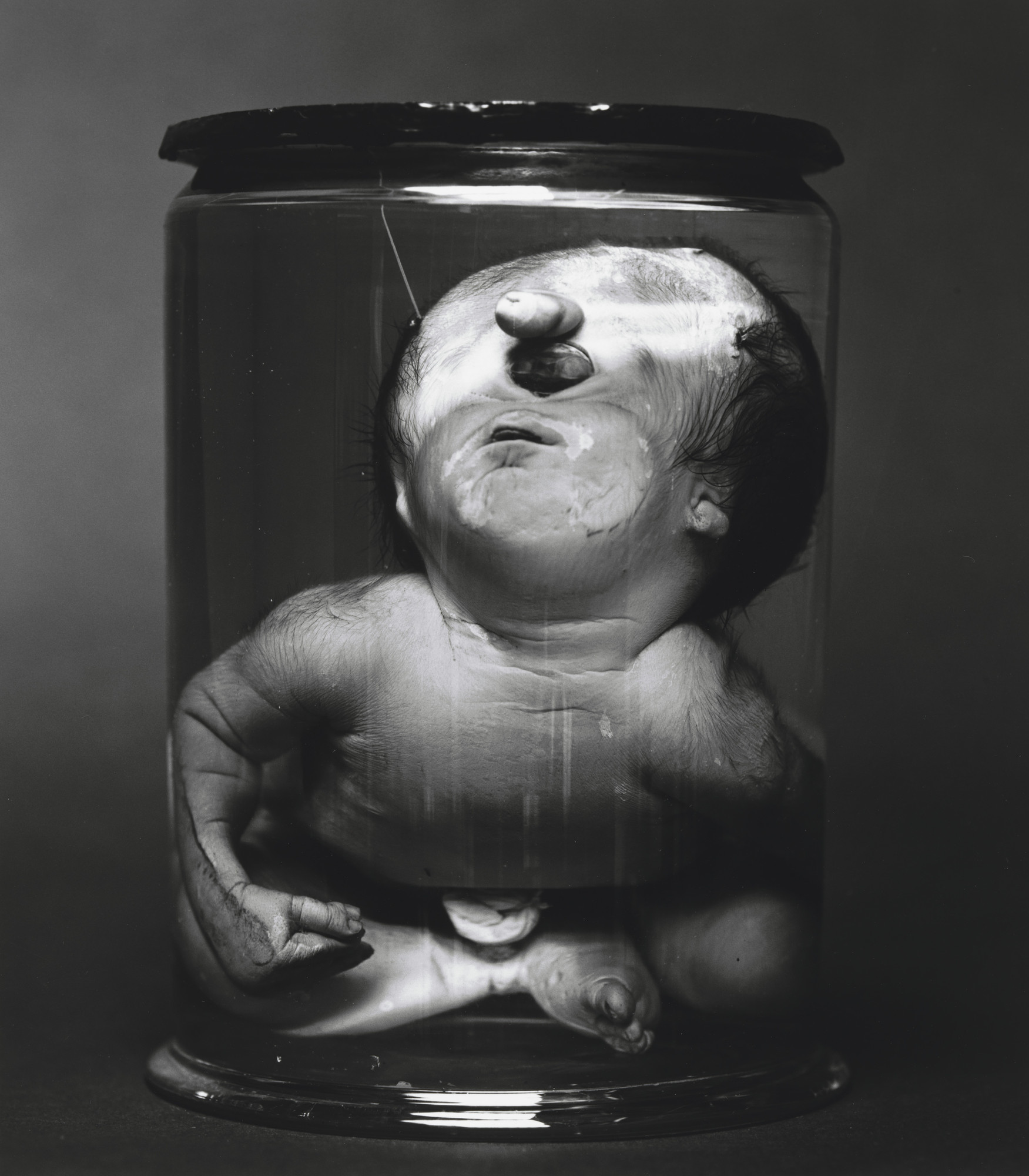 Diana Michener. Cyclops