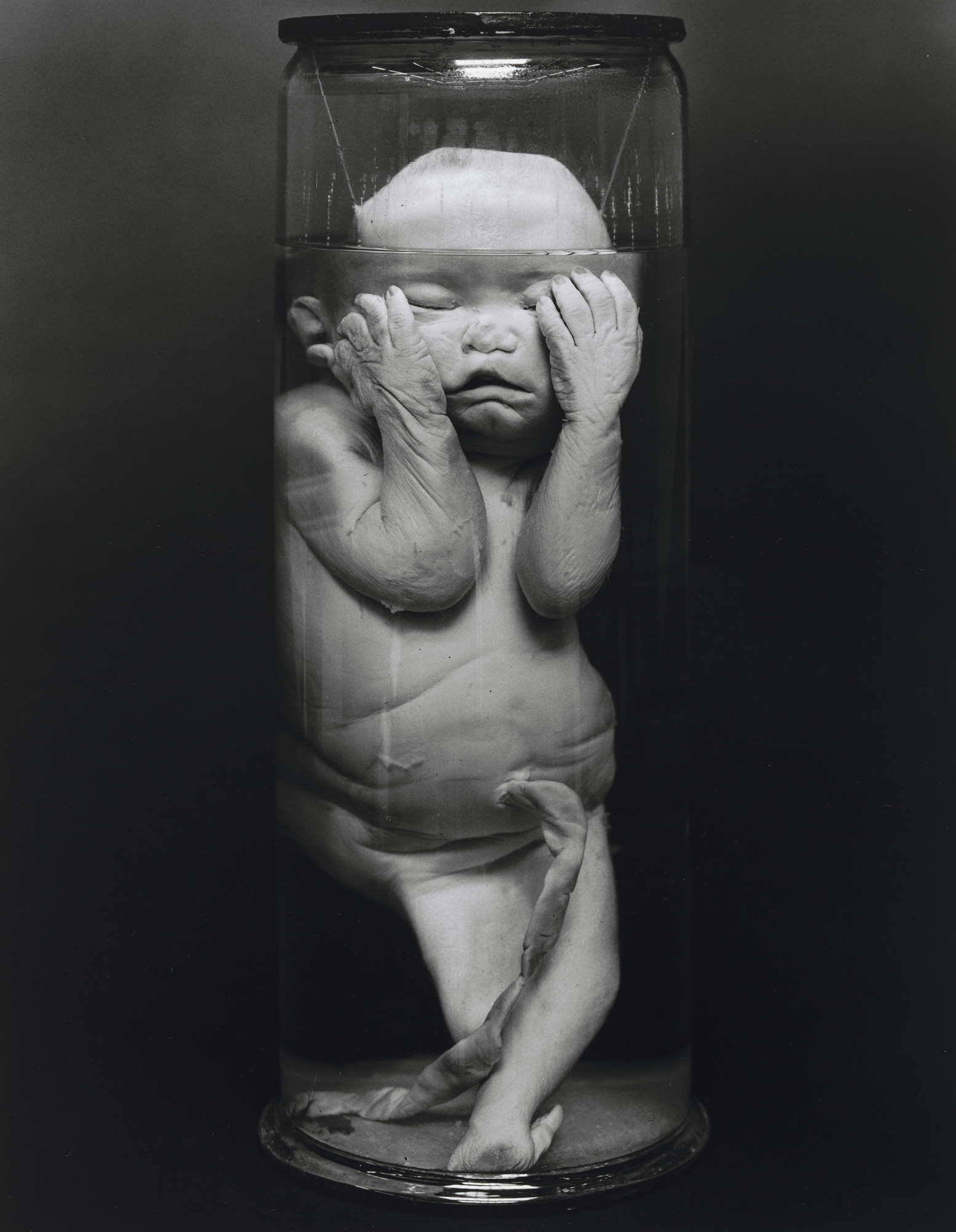 Diana Michener. Sympus