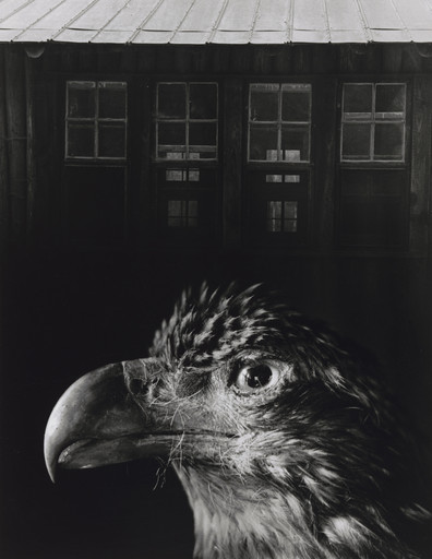 Bless Our Home and Eagle