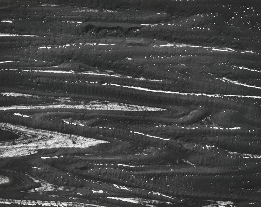Bradford Washburn. Plastic Flow and Differential Seen in the Surface of the Great Bering Glacier
