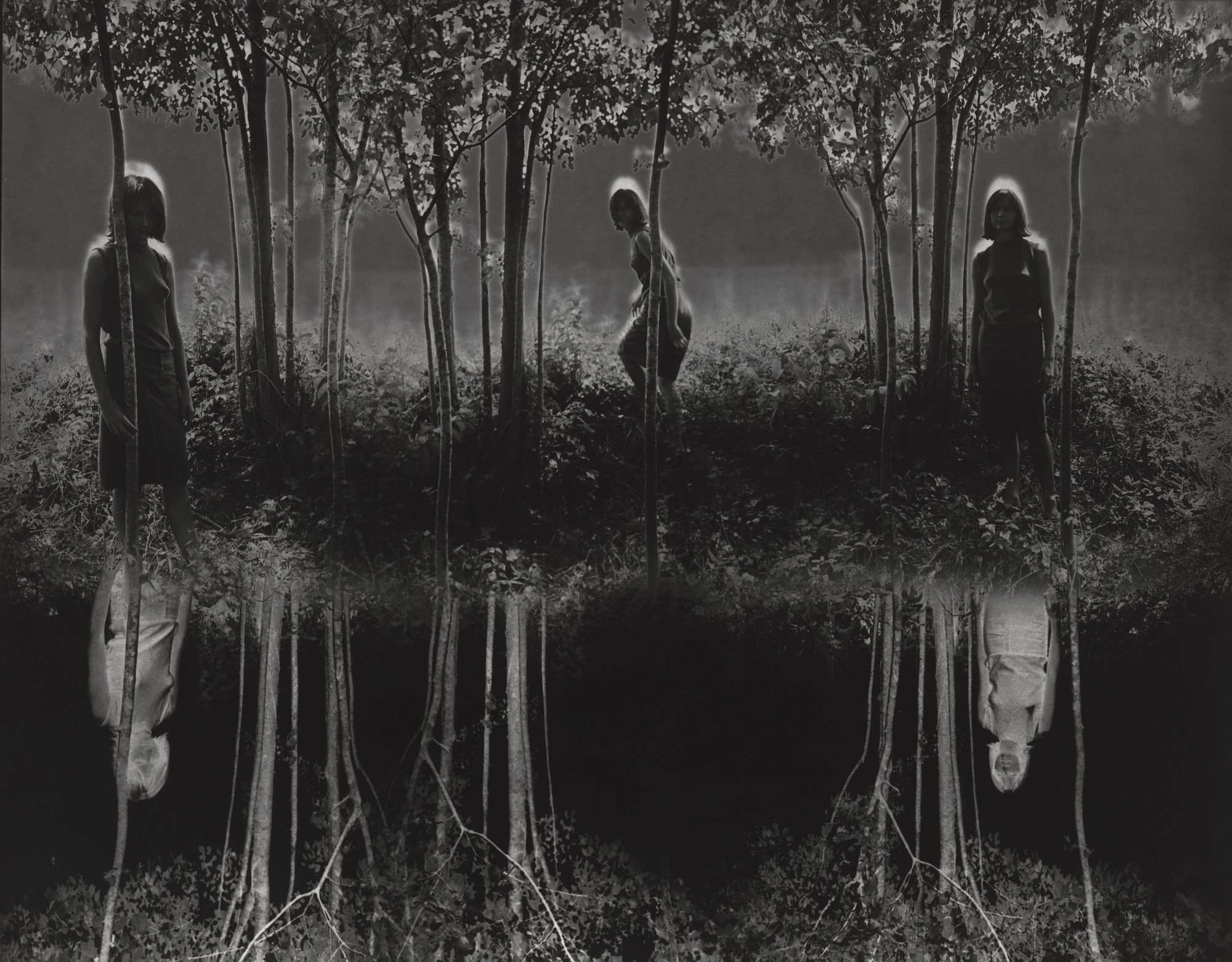 Jerry Uelsmann. Small Woods Where I Met Myself