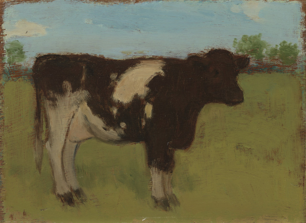 Cow