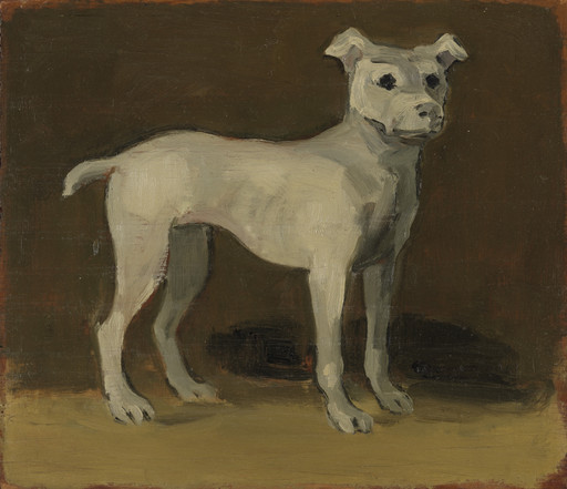 The Grey Dog