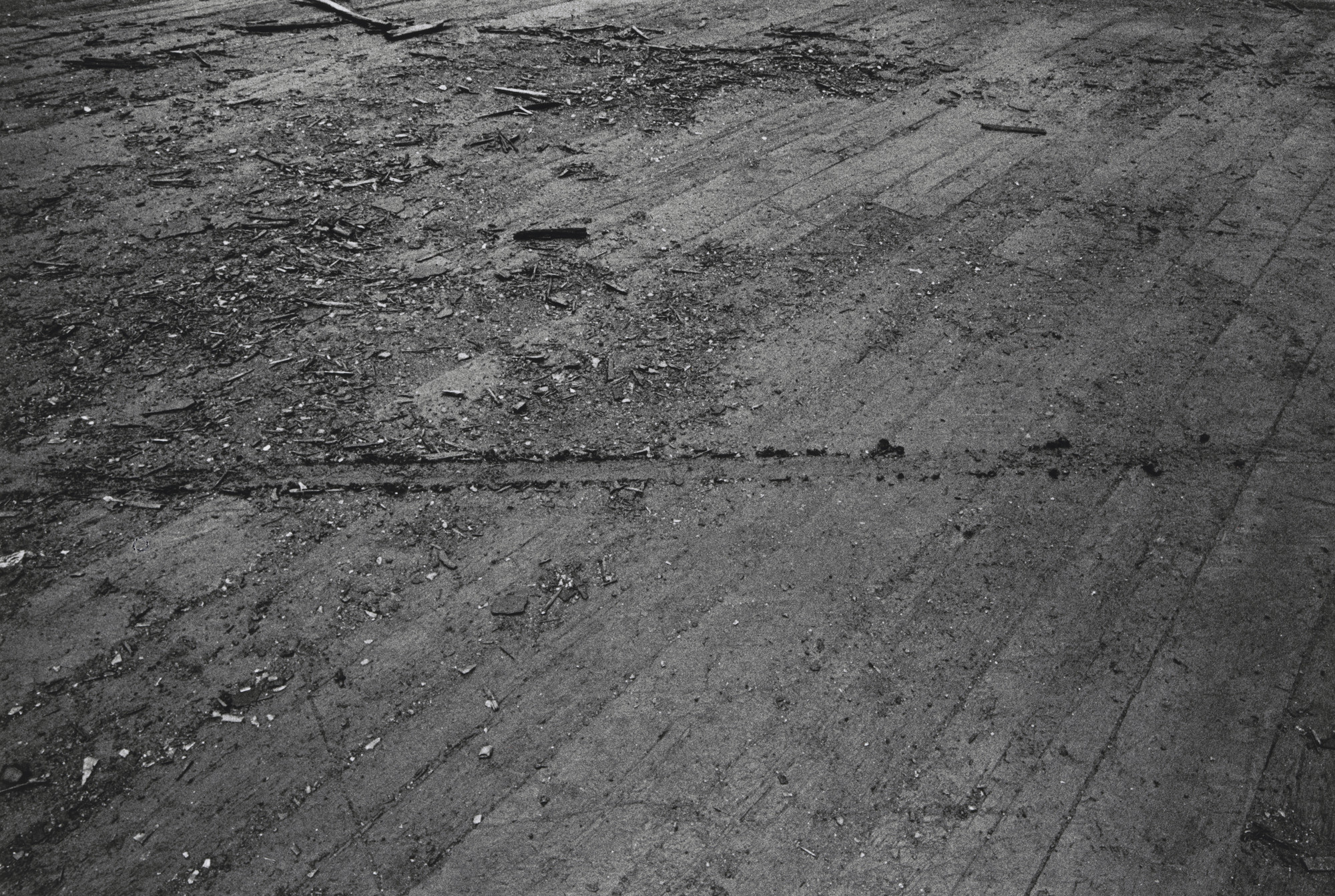 John Van Saun, Harry Shunk, János Kender. Freya Van Saun, 1965-1971. 1971