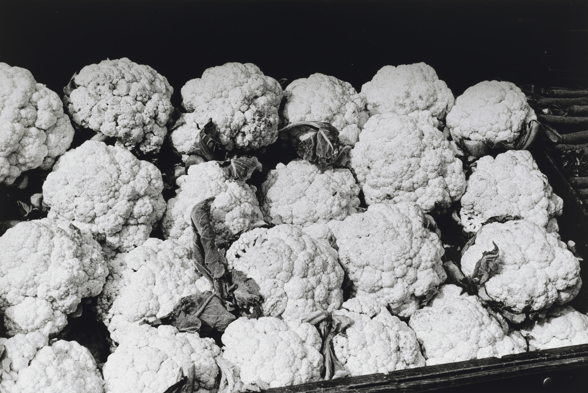 Takuma Nakahira. Untitled from the series Circulation: Date, Place, Events. 1971