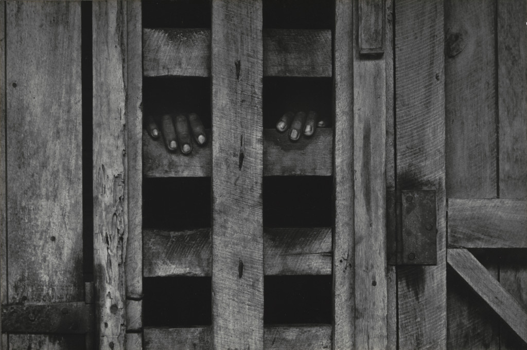 Insane Stockade, at Dr. Schweitzer's