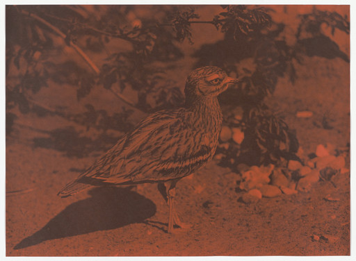 Untitled (Luhring Augustine Hetzler, Santa Monica, CA, 1990)