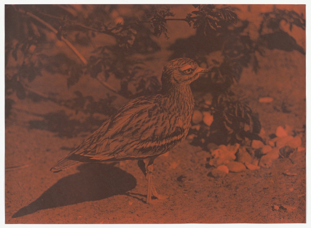 Untitled (Luhring Augustine Hetzler, Santa Monica, CA, 1990)