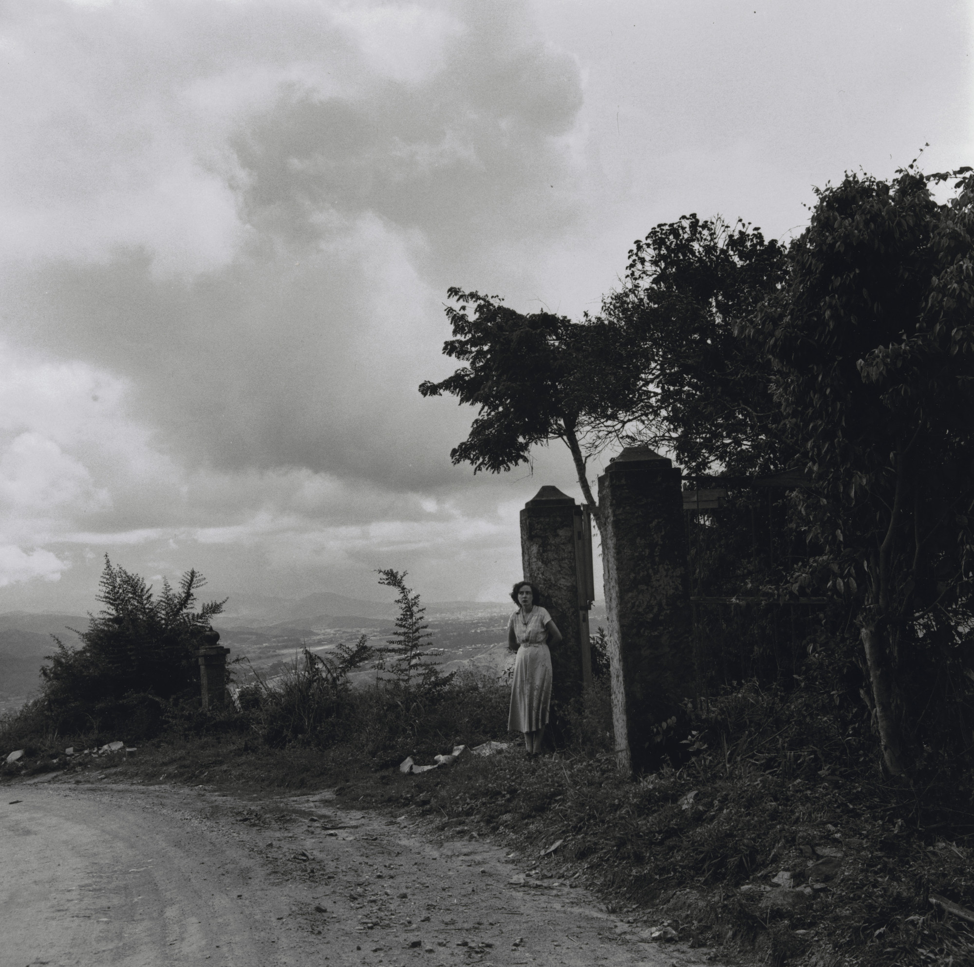 Alfredo Cortina. Petare