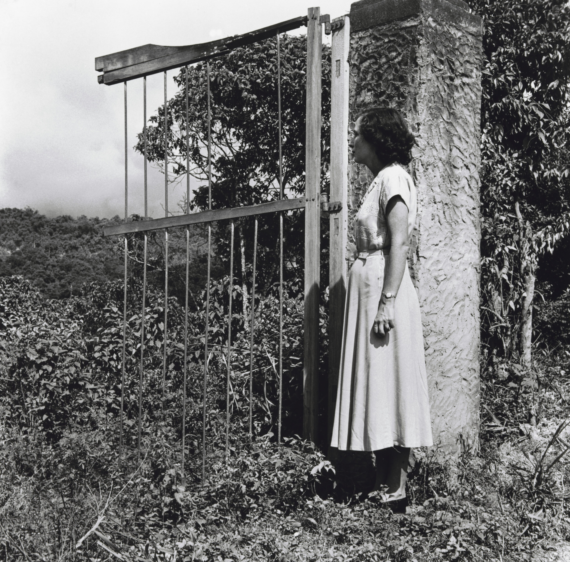 Alfredo Cortina. Petare