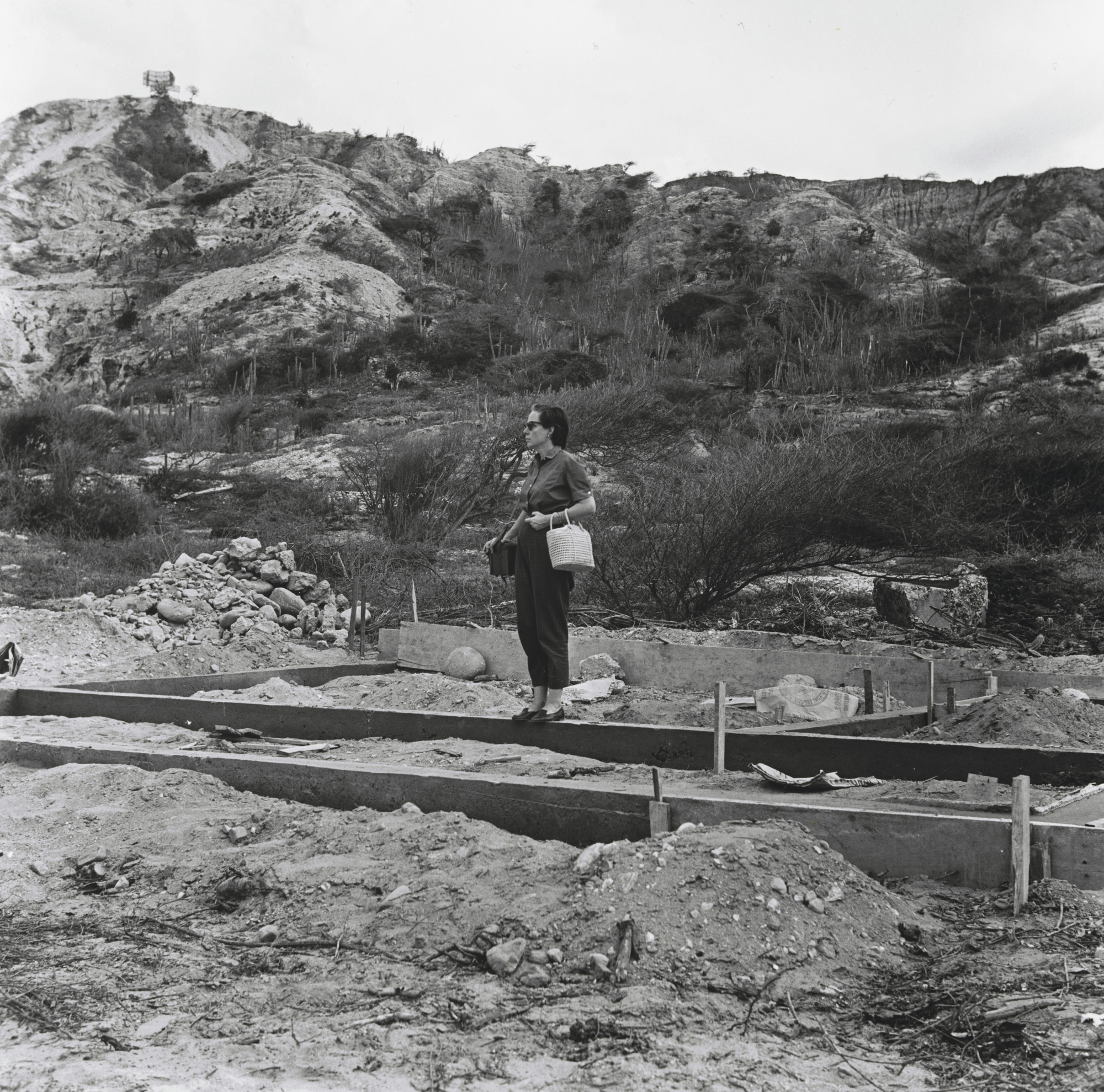 Alfredo Cortina. Ocumare de la Costa