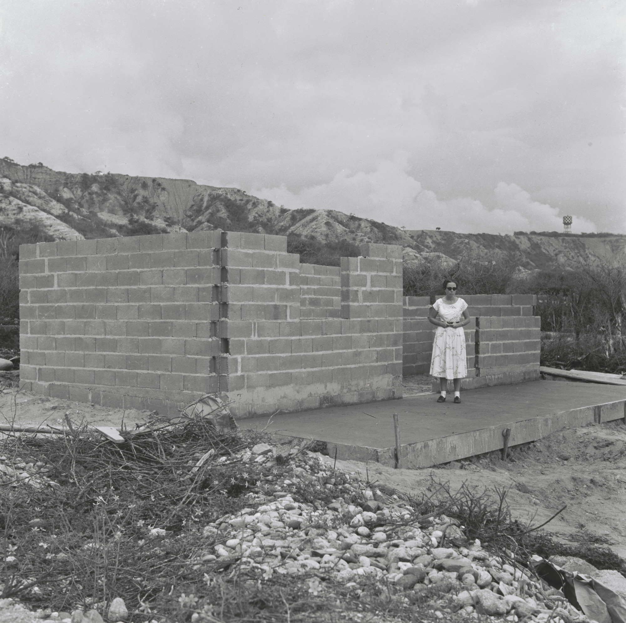 Alfredo Cortina. Ocumare de la Costa