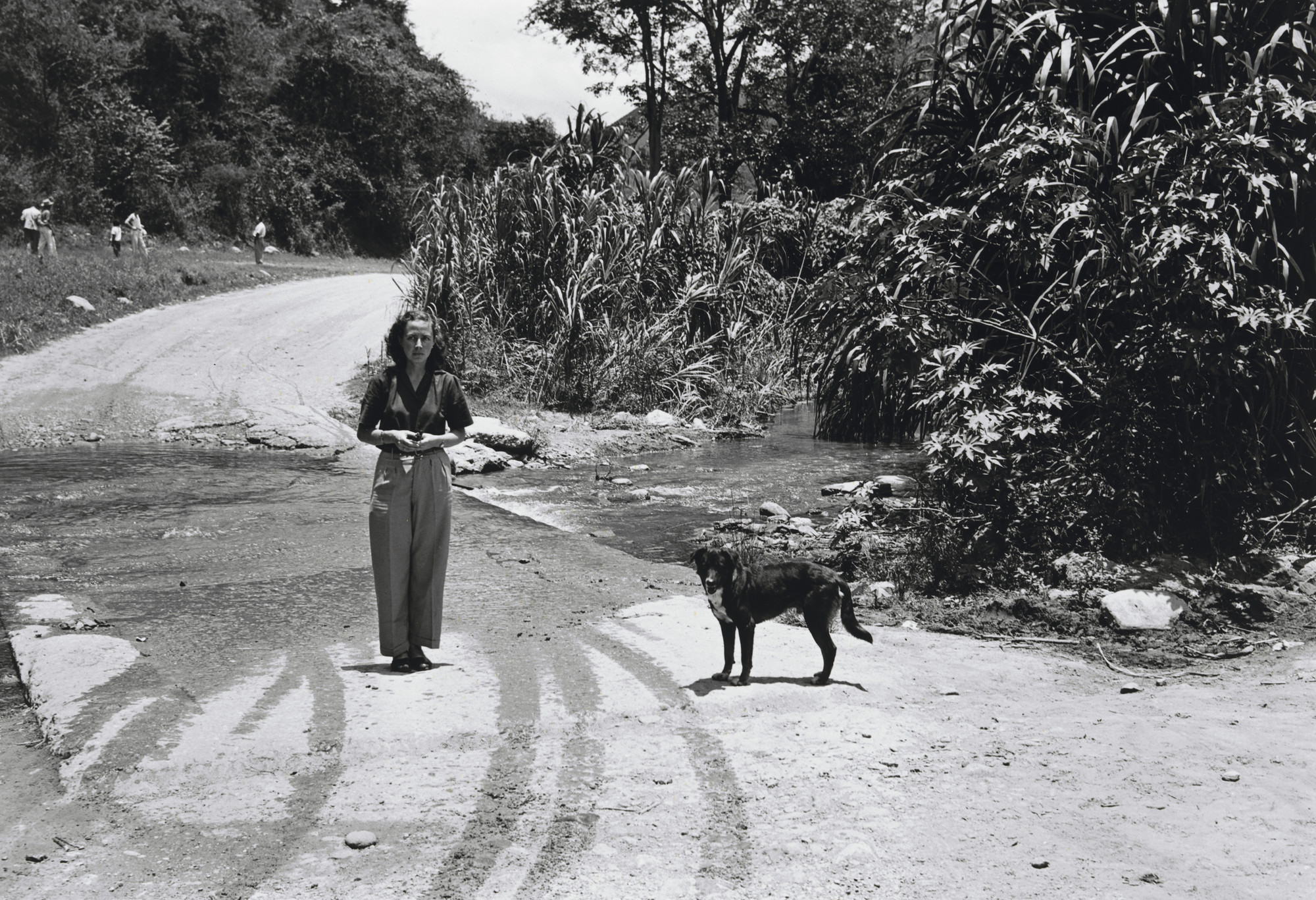 Alfredo Cortina. Untitled
