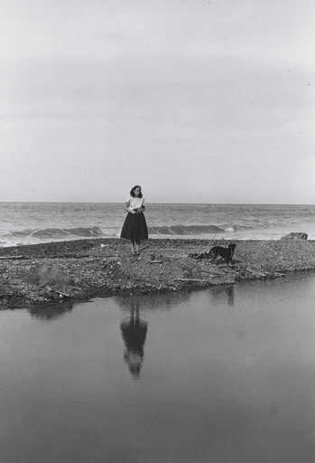 Pariata