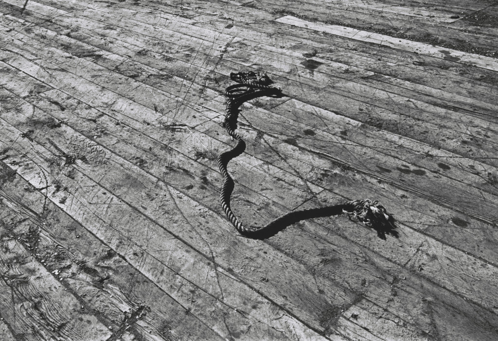 Mario Merz was in this place and thought about things far away from here