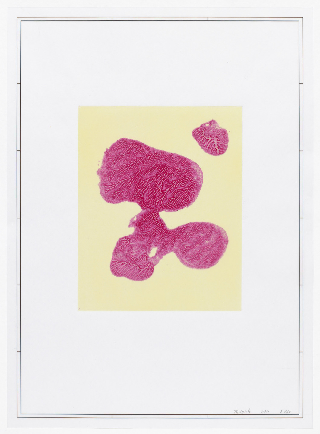 Thomas Schütte. Untitled from Placebos. 2011