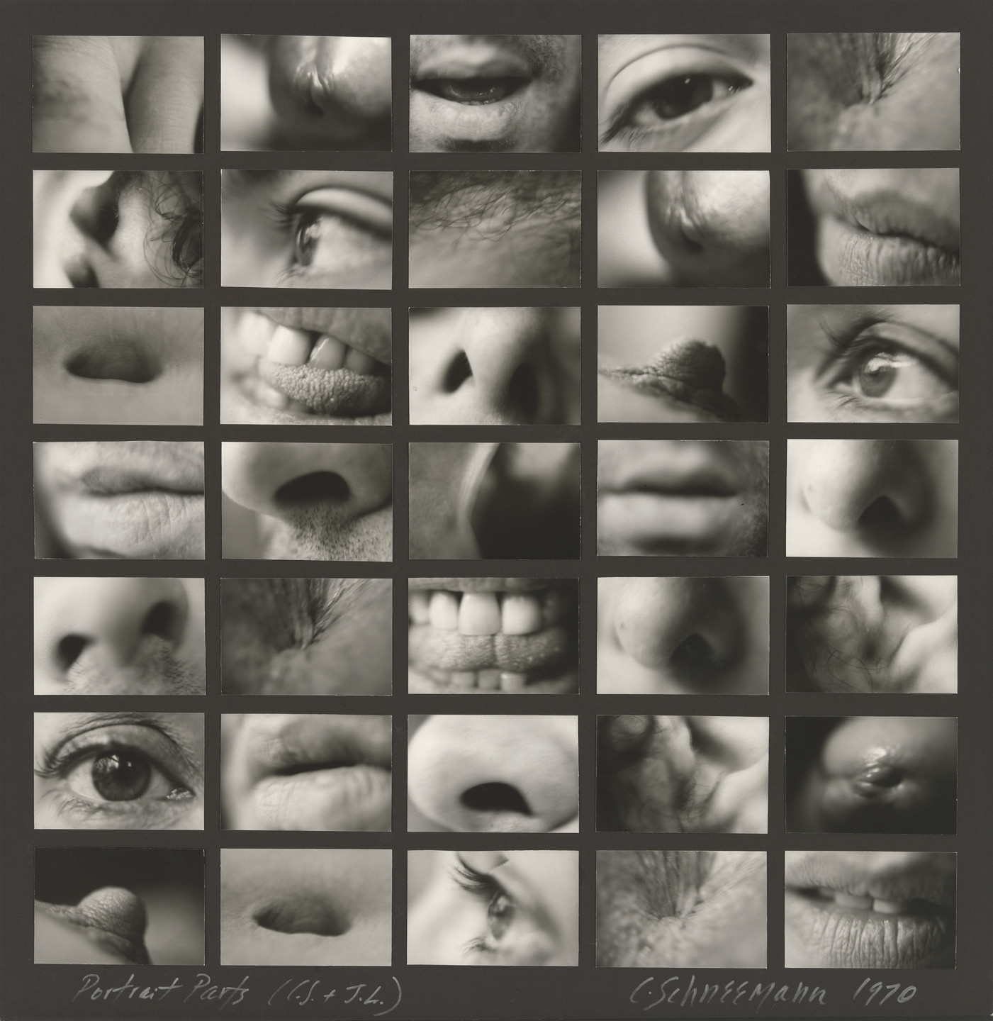 Carolee Schneemann. Portrait Partials. 1970