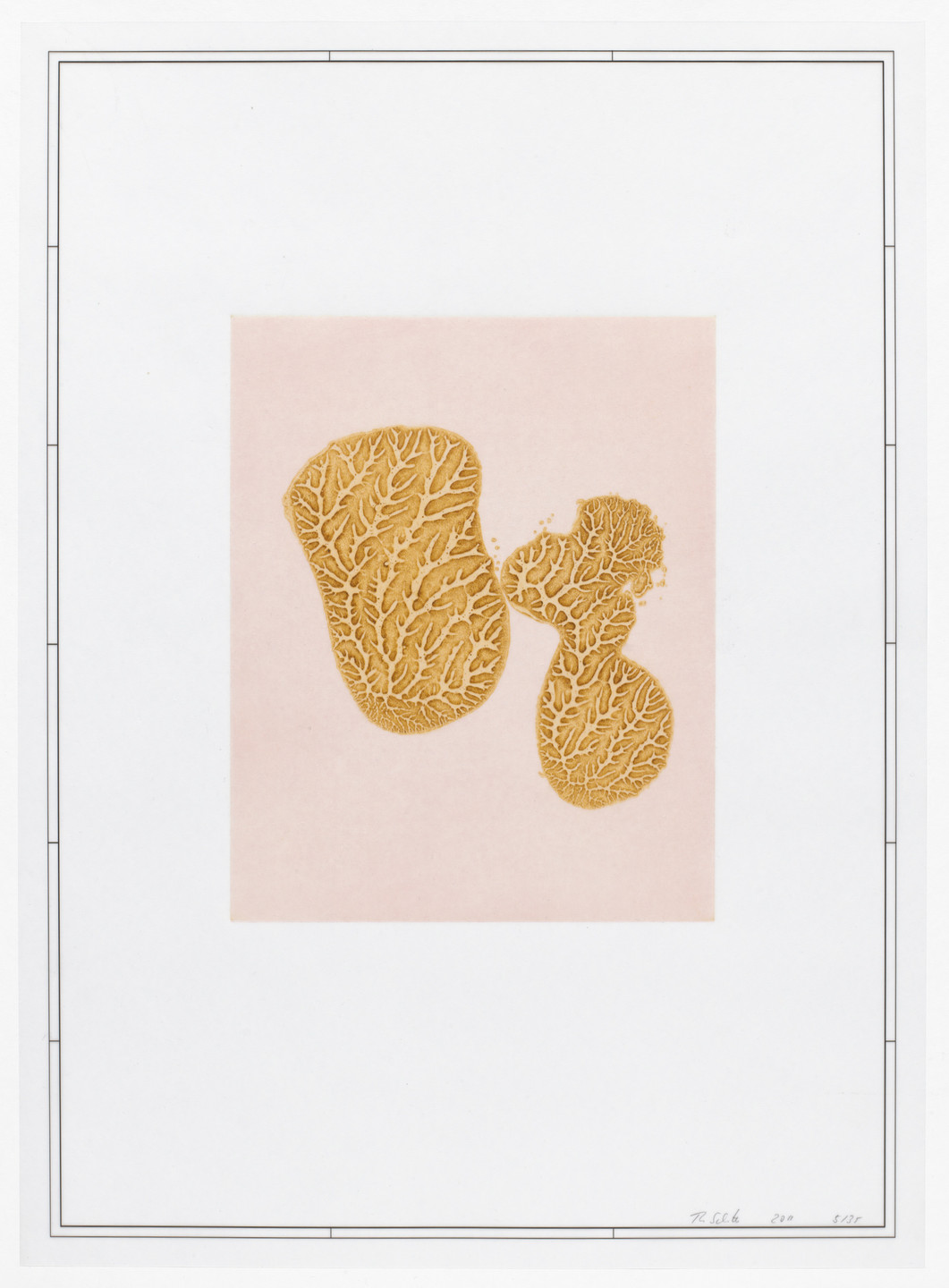 Thomas Schütte. Untitled from Placebos. 2011