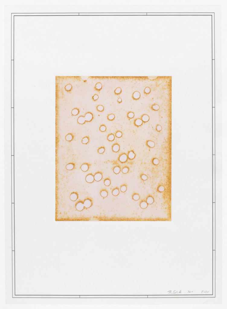 Untitled from Placebos