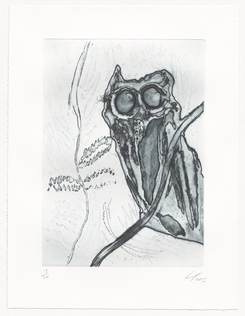 Untitled, Dark Owl from an untitled series