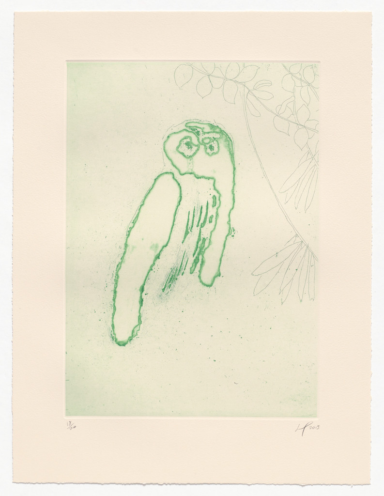 Owl (Boscoe) from an untitled series