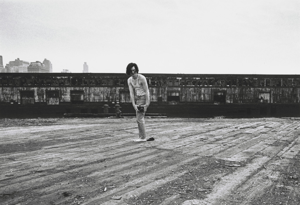 Dan Graham–Pier 18