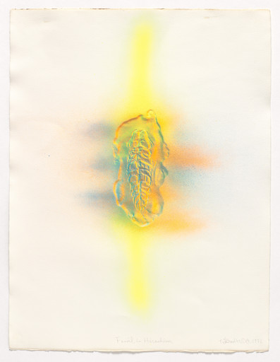 Fossil in Hiroshima
