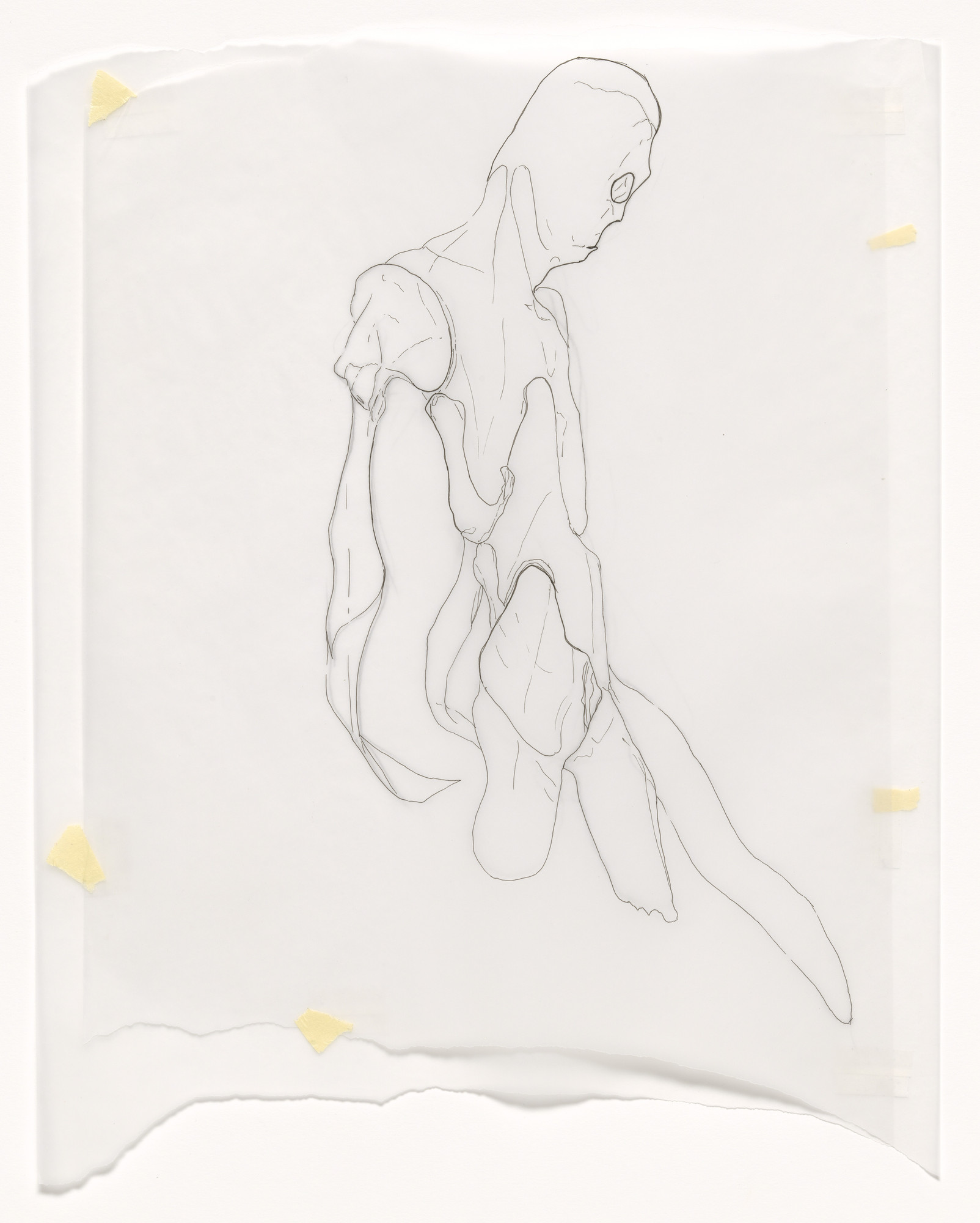 Cristóbal Lehyt. Drama Projections (Stuttgart)